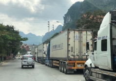 luong dieu xuat khau sang trung quoc tang gan 24 lan