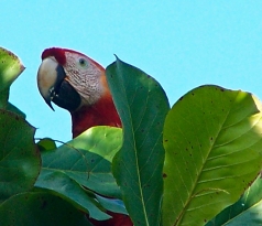 mo rong san xuat nong nghiep huu co  bai 1