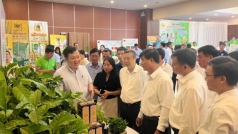 nam trung bo va tay nguyen  bat chap thoi tiet cuc doan nong nghiep van giu   8217 phong do  8217  tang truong