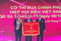 nga ?nh die ?u da ?nh da ?u cha ?ng duo ?ng 30 nam pha ?t trie ?n ma ?nh me ?