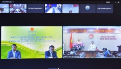 nganh dieu binh phuoc voi noi lo nguyen lieu