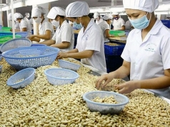 nganh dieu cho thi truong sang len vao 6 thang cuoi nam 2020