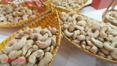 nganh dieu viet nam lam nen   8221 ky tich  8221