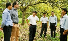 nghich ly  hat dieu binh phuoc noi tieng thom ngon nhung gia ban khong cao