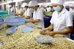 nghien cuu phan anh ve rui ro lua dao trong xuat khau nong san