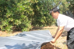 nguon thu lon tu phu pham nong nghiep  bien la dieu thanh phan huu co