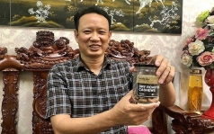 nhap sieu lon sau 31 nam xuat khau nganh dieu co can tang dien tich de tu chu nguyen lieu