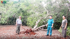 nhieu ho dan o binh phuoc thiet hai nang ne do mua lon kem loc xoay