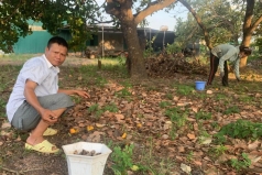 nhin vuon dieu buon tham nong dan tay nguyen nhat nhanh ban cho hay the thoi chu loi lai gi dau