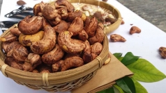 nhung loi ich suc khoe hang dau cua viec an hat dieu ma ban nen biet