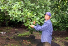 nikkei  viet nam co nhieu tiem nang tro thanh trung tam nong nghiep chau a