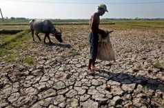 nong nghiep doi mat el nino lich su 60 nam