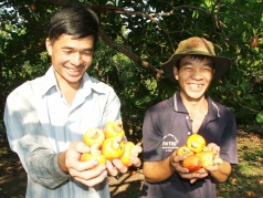 nong nghiep tang truong cao nhat 7 nam qua