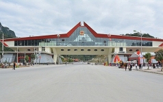 nong san viet giua dich corona  co hoi thoat phu thuoc thi truong trung quoc