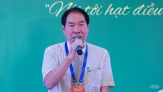 ong pham van cong tiep tuc lam chu tich hiep hoi dieu viet nam