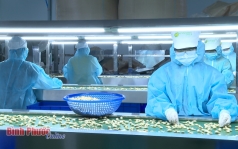 phat trien ben vung nganh dieu binh phuoc   bai 2