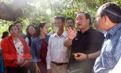 pho thu tuong hoang trung hai tham cac mo hi nh tro ng die u ghe p cho nang sua t cao tai binh phuoc
