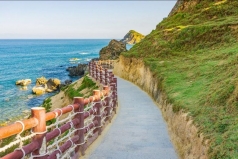 phu yen  tim cach  ??giai cuu ?? doanh nghiep trong mua dich