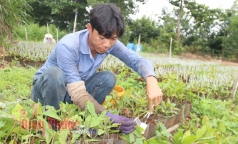 pn1   huong toi phat trien ben vung