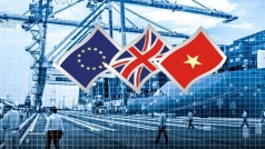 quan he thuong mai va dau tu viet nam anh duoc huong loi tu evfta