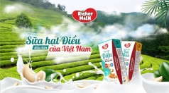 san pham sua hat dieu dau tien tai viet nam duoc ra mat