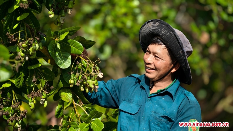 sau sap nhap voi binh phuoc lan dau tien tinh dong nai to chuc le hoi cho qua dieu