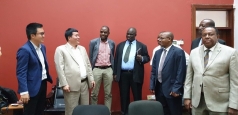 sau vu thu mua lich su dieu tho tanzania cua 1 dn viet nam thi truong dieu viet nam duoc gi