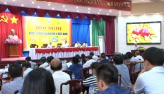 se to chuc le hoi qua dieu vang tai binh phuoc vao nam 2019