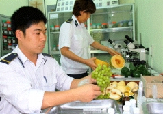 siet xu ly vi pham linh vuc giong cay trong kiem dich thuc vat thu y