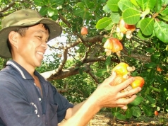 tam huyet voi dieu nong dan song khoe