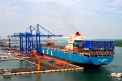tap doan msc de xuat dau tu   8221 sieu cang  8221  quoc te can gio   cai mep gan 6 ty usd tp  hcm co co hoi don luong hang lon von duoc trung chuyen qua singapore