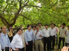 tap trung nguon luc cai tao   8221 cay 2 ty do  8221