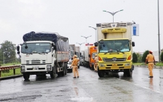 tat ca duong la luong xanh moi hang hoa deu thiet yeu