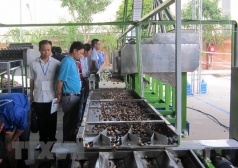 tham van chinh sach chuyen giao cong nghe che bien dieu ra nuoc ngoai