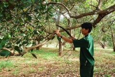 thu tien ty nho trong dieu