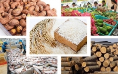 top 6 mat hang nong san viet nam du kien xuat khau chu luc trong nua cuoi 2023