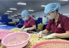 trien vong but pha cho nong nghiep dong nai