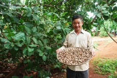 trong dieu noi bien gioi