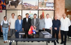 trong dieu o cuba mot doanh nghiep viet nam vua dau tu trong bao nhieu hec ta