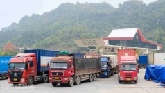 trung quoc o at gom mua hat dieu cua viet nam