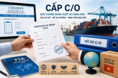 tu 1 8 tp hcm chinh thuc tiep nhan cap giay chung nhan xuat xu hang hoa c o
