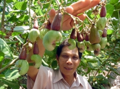 tuyen duong 44 nong dan trong dieu gioi