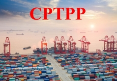 vi dau dn chua tan dung tot nhat nhung loi ich tu cptpp
