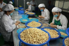 viet nam dat muc tieu vao top 15 nen nong nghiep phat trien nhat the gioi