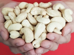 viet nam vua don tin cuc vui tu my va chau au