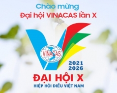 vinacas lui thoi gian to chuc dai hoi x sang quy i  2022