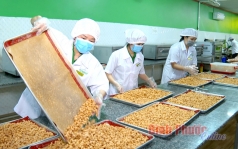 xd chinh quyen dien tu  thuong mai dien tu dua doanh nghiep ra  ??bien lon ??