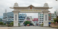 xuat nhap khau viet nam   trung quoc thang 2 2020  chiu anh huong boi covid 19