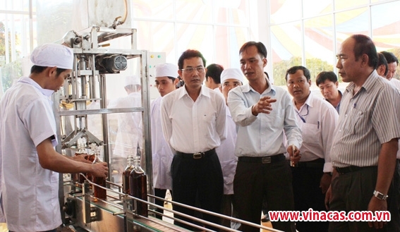 dong nai  xay dung vung chuyen canh ca cao trong xen cay dieu