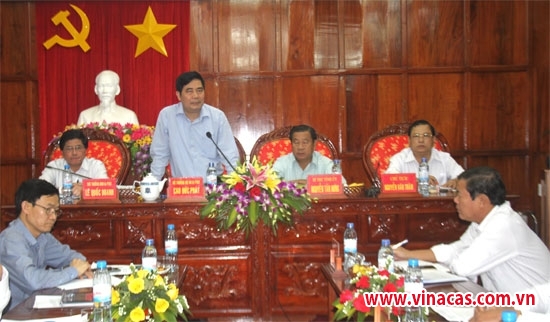 dien tich va san luong dieu o tay nguyen giam nhung khong dang ngai